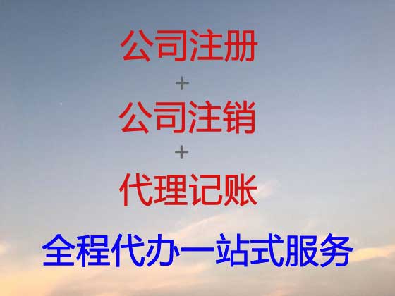 昭通公司个体工商户注册-财务代理记账